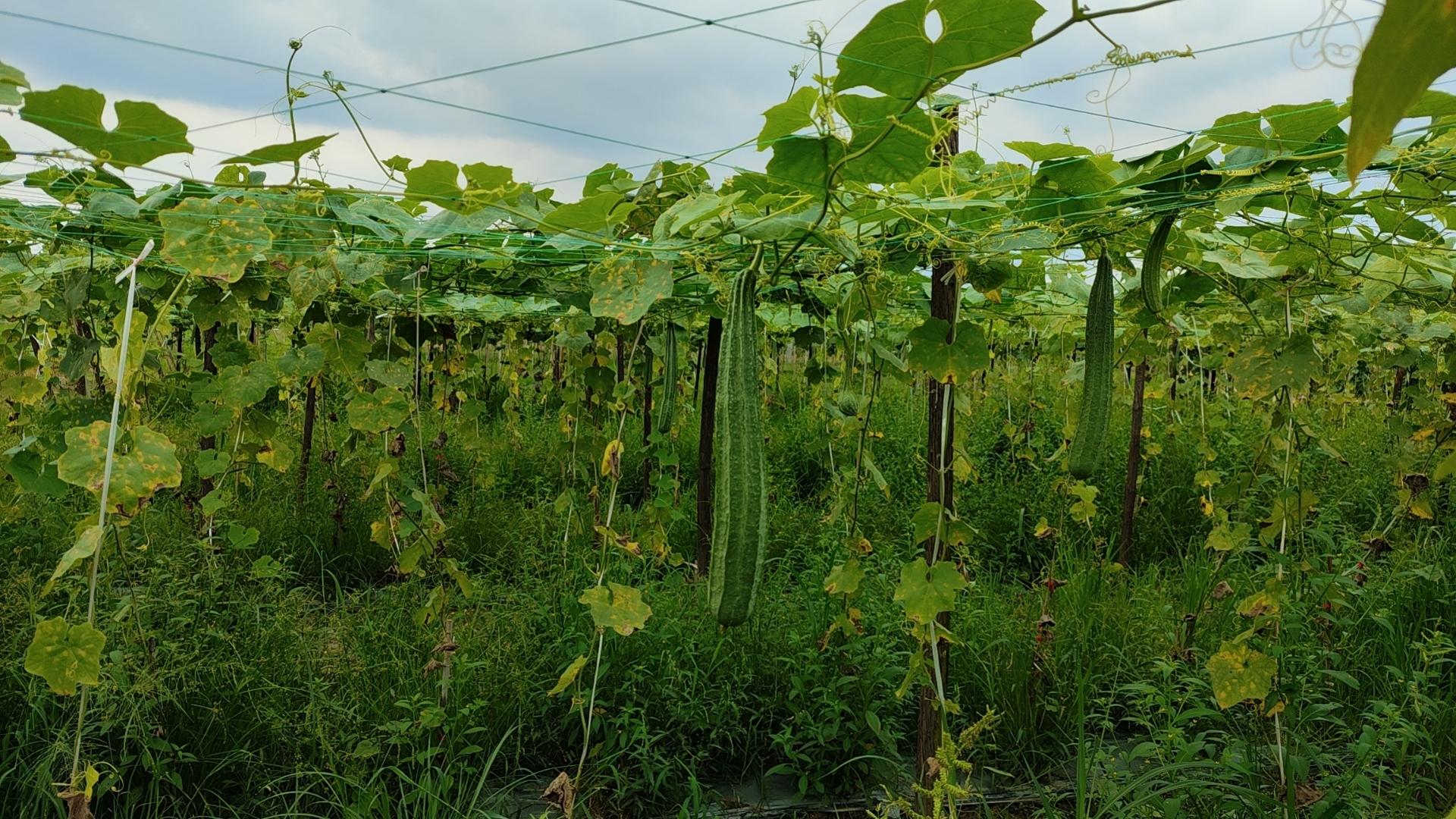 ����ͻ��(�й�)���޹�˾����